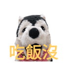 my English is like a husky 2.0（個別スタンプ：16）