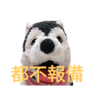 my English is like a husky 2.0（個別スタンプ：18）