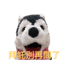 my English is like a husky 2.0（個別スタンプ：19）