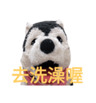 my English is like a husky 2.0（個別スタンプ：20）