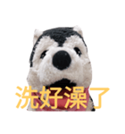 my English is like a husky 2.0（個別スタンプ：21）