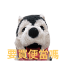 my English is like a husky 2.0（個別スタンプ：22）