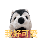 my English is like a husky 2.0（個別スタンプ：23）