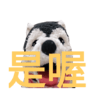 my English is like a husky 2.0（個別スタンプ：24）