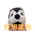 my English is like a husky 2.0（個別スタンプ：26）