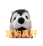 my English is like a husky 2.0（個別スタンプ：27）