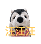 my English is like a husky 2.0（個別スタンプ：28）