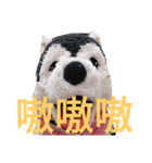 my English is like a husky 2.0（個別スタンプ：29）