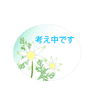 花のおめでとう＆ありがとう【敬語】（個別スタンプ：8）