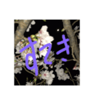 夜桜（ポジティブワード）（個別スタンプ：2）