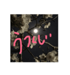 夜桜（ポジティブワード）（個別スタンプ：4）