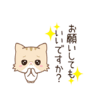 ネコのミミちゃん3【敬語】（個別スタンプ：10）