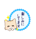 ネコのミミちゃん3【敬語】（個別スタンプ：37）