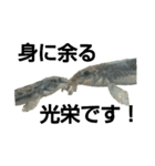 どじょうといきる（個別スタンプ：31）