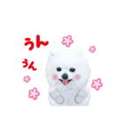 かわいい犬たち♡うるふ家の白ポメ達♡敬語（個別スタンプ：20）