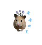 Hamster Butter（個別スタンプ：7）