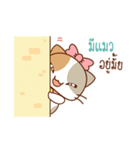 "Deeda" Cute Cat（個別スタンプ：3）