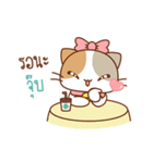 "Deeda" Cute Cat（個別スタンプ：11）