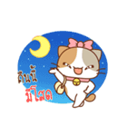 "Deeda" Cute Cat（個別スタンプ：16）