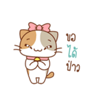 "Deeda" Cute Cat（個別スタンプ：17）