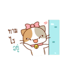 "Deeda" Cute Cat（個別スタンプ：34）