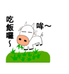 Daily grazing cow（個別スタンプ：4）