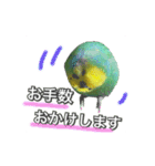 インコのポンちゃん（敬語）（個別スタンプ：12）