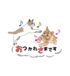 吹き出しに猫だらけ3 大きな文字の敬語（個別スタンプ：2）