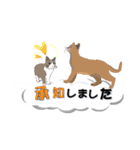 吹き出しに猫だらけ3 大きな文字の敬語（個別スタンプ：3）