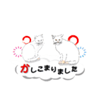 吹き出しに猫だらけ3 大きな文字の敬語（個別スタンプ：6）