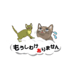 吹き出しに猫だらけ3 大きな文字の敬語（個別スタンプ：8）