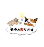 吹き出しに猫だらけ3 大きな文字の敬語（個別スタンプ：13）