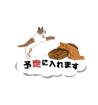 吹き出しに猫だらけ3 大きな文字の敬語（個別スタンプ：14）