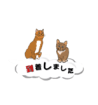 吹き出しに猫だらけ3 大きな文字の敬語（個別スタンプ：15）