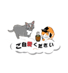 吹き出しに猫だらけ3 大きな文字の敬語（個別スタンプ：16）