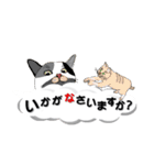 吹き出しに猫だらけ3 大きな文字の敬語（個別スタンプ：21）