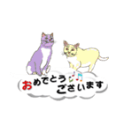 吹き出しに猫だらけ3 大きな文字の敬語（個別スタンプ：24）