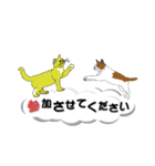 吹き出しに猫だらけ3 大きな文字の敬語（個別スタンプ：29）