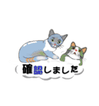 吹き出しに猫だらけ3 大きな文字の敬語（個別スタンプ：31）