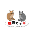 吹き出しに猫だらけ3 大きな文字の敬語（個別スタンプ：34）