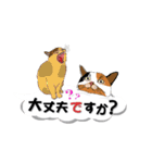 吹き出しに猫だらけ3 大きな文字の敬語（個別スタンプ：35）