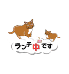 吹き出しに猫だらけ3 大きな文字の敬語（個別スタンプ：36）