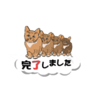 吹き出しに猫だらけ3 大きな文字の敬語（個別スタンプ：39）