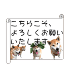 ココア時々メイ（敬語編）（個別スタンプ：3）