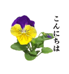 お花の日常スタンプ【敬語編】（個別スタンプ：2）