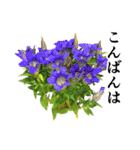 お花の日常スタンプ【敬語編】（個別スタンプ：3）