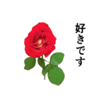 お花の日常スタンプ【敬語編】（個別スタンプ：8）