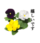 お花の日常スタンプ【敬語編】（個別スタンプ：9）