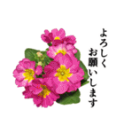 お花の日常スタンプ【敬語編】（個別スタンプ：12）