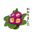 お花の日常スタンプ【敬語編】（個別スタンプ：15）